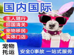 泰州航空货运国际宠物托运 【国